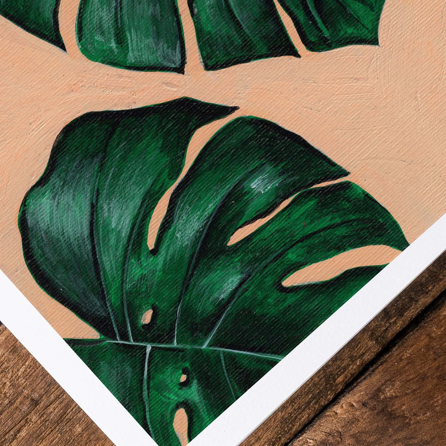 Monstera