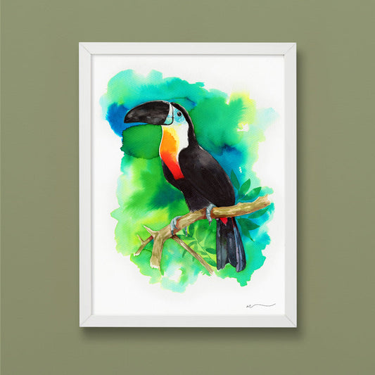 Radiant Toucan