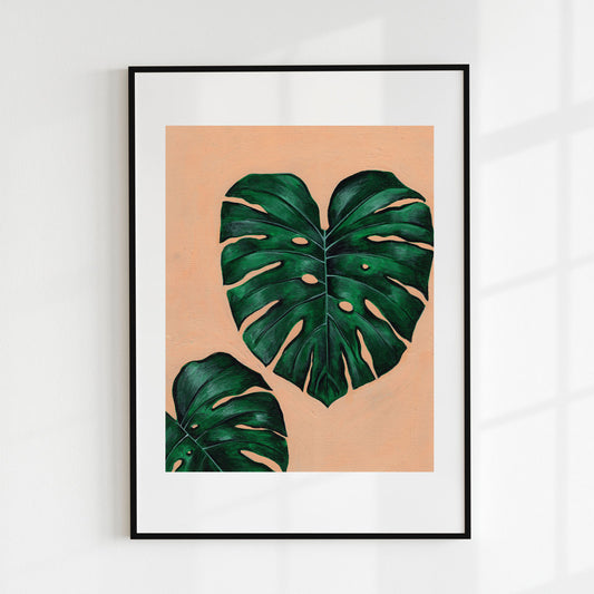 Monstera