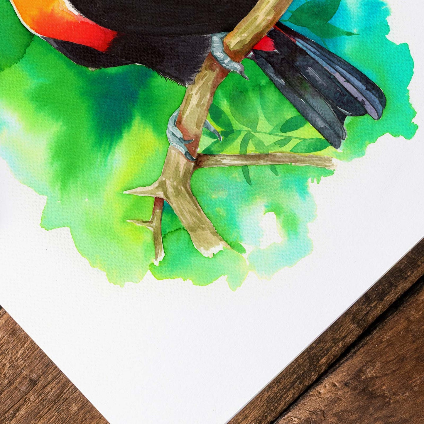 Radiant Toucan